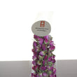 Load image into Gallery viewer, 100% Natural Garnish Rose Buds